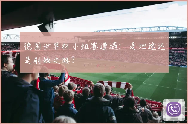 德国世界杯小组赛遭遇：是坦途还是荆棘之路？
